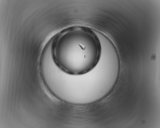 X0000112881128200908211444