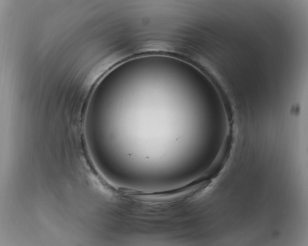 X0000112881129200908211444