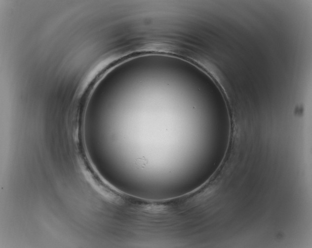 X0000112881131200908211444