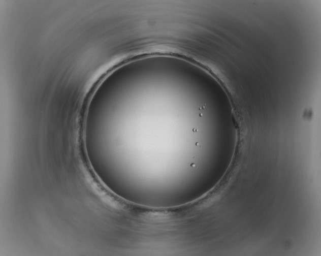 X0000112881134200908211444