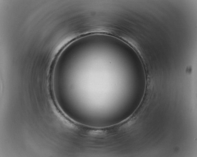 X0000112881135200908211444