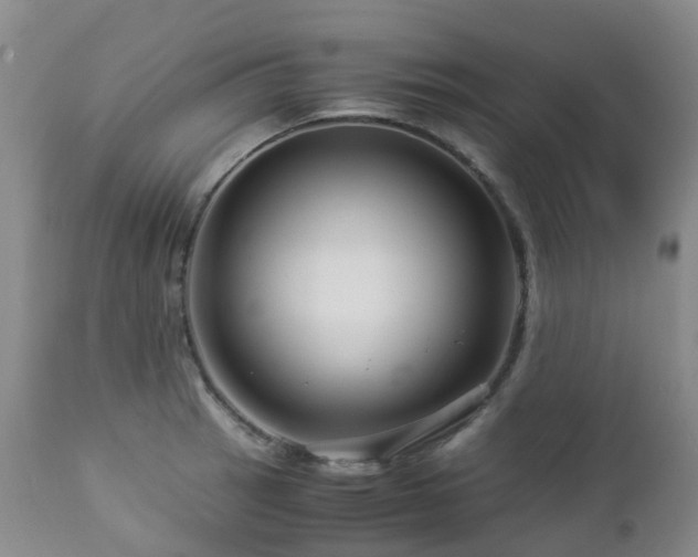 X0000112881137200908211444