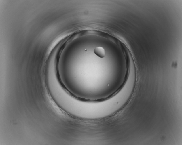 X0000112881138200908211444