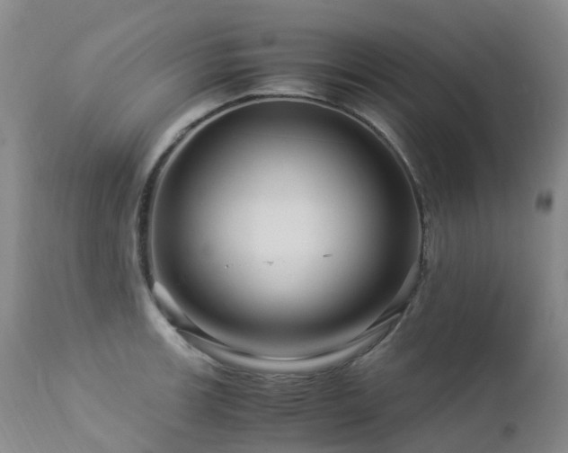 X0000112881139200908211444