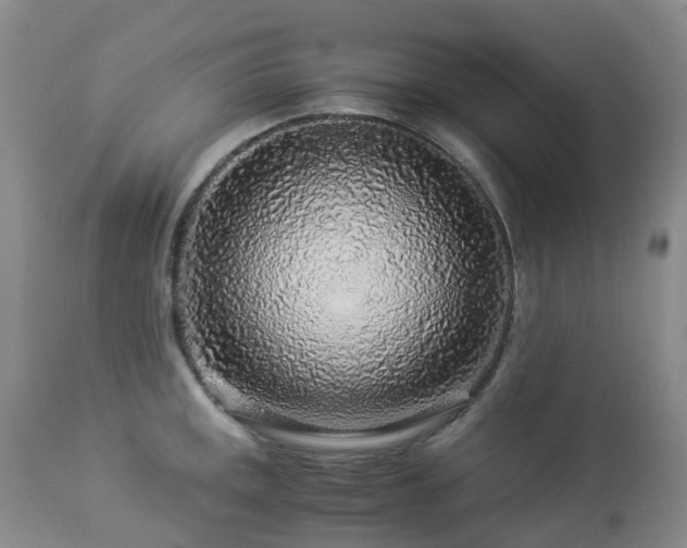 X0000112881141200908211444