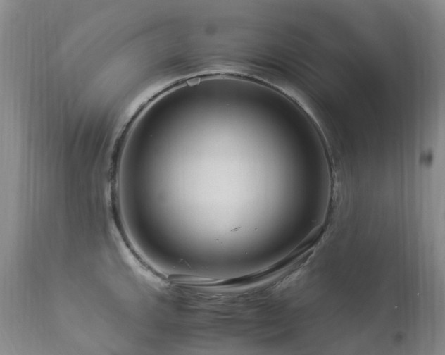 X0000112881143200908211444