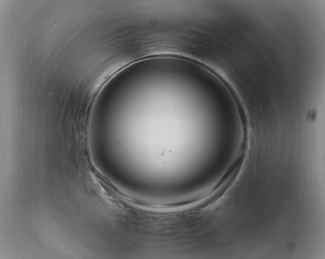 X0000112881145200908211444