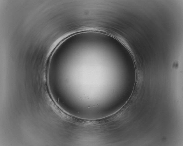 X0000112881148200908211444