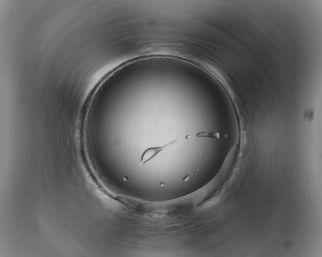 X0000112881149200908211444