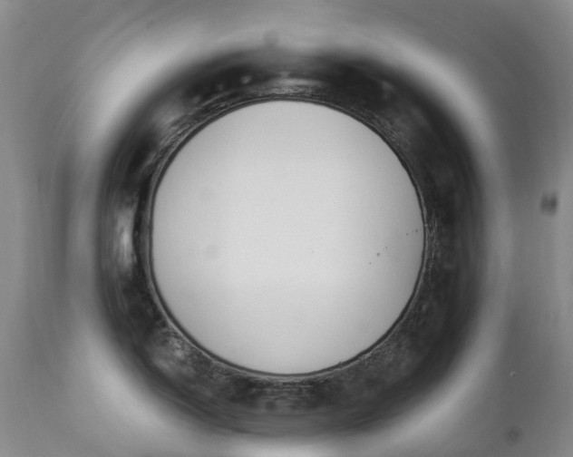 X0000112881150200908211444