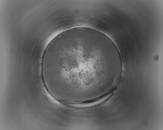 X0000112881151200908211444