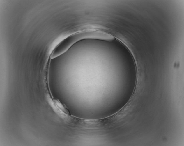 X0000112881152200908211444