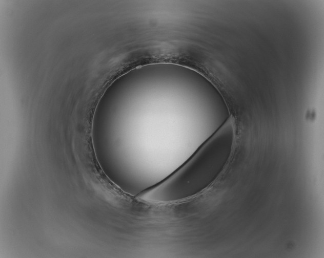 X0000112881153200908211444