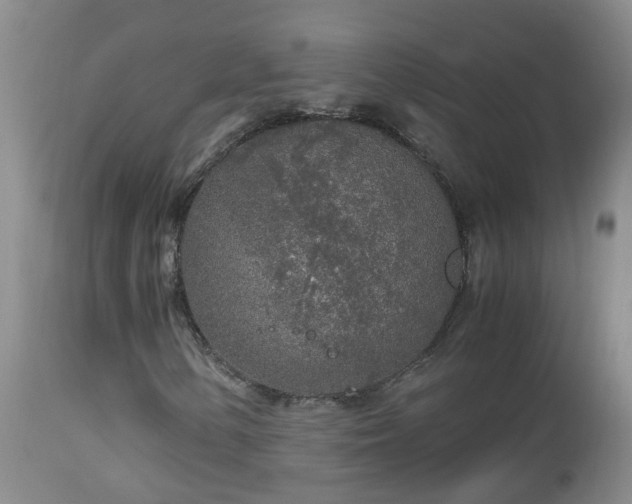 X0000112881154200908211444