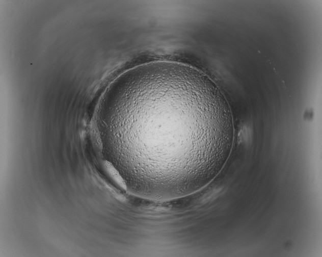 X0000112881156200908211444