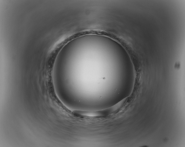 X0000112881159200908211444