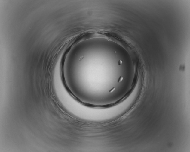 X0000112881161200908211444