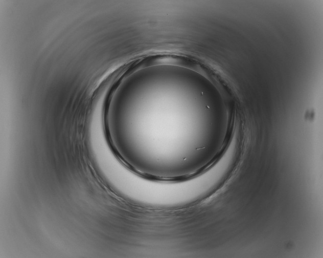 X0000112881162200908211444