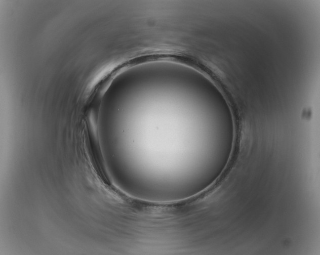 X0000112881163200908211444