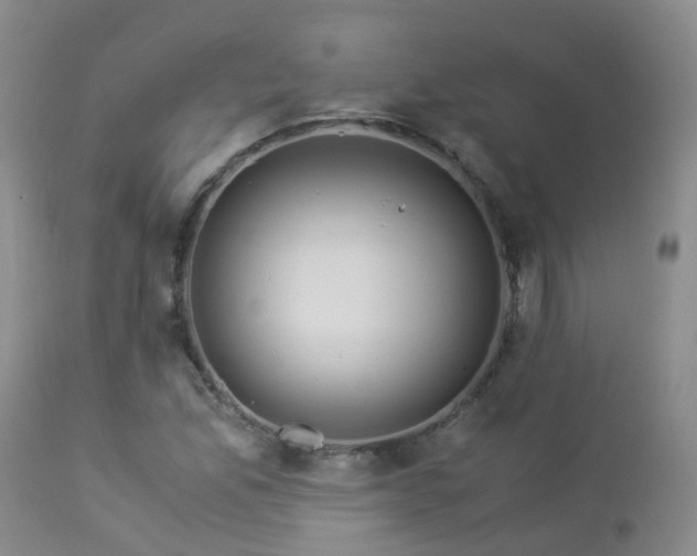 X0000112881165200908211444