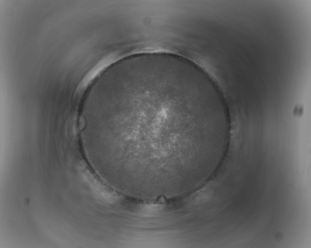 X0000112881173200908211443