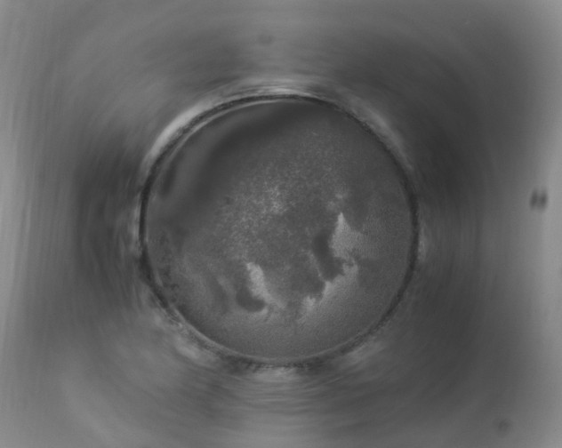 X0000112881174200908211443