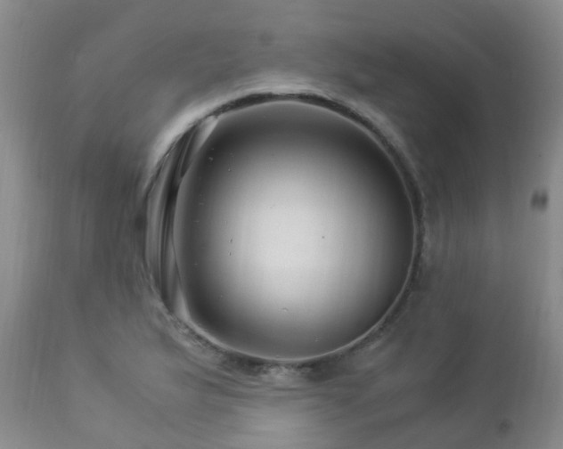 X0000112881175200908211443