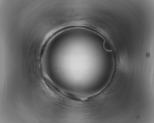 X0000112881176200908211443