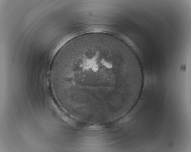 X0000112881178200908211443