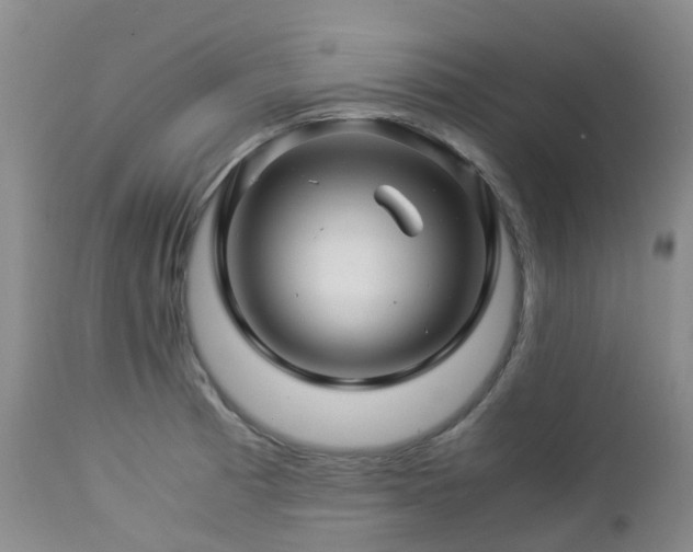 X0000112881185200908211443