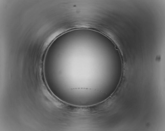 X0000112881187200908211443