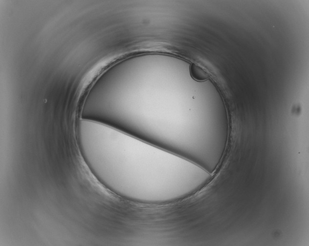 X0000112881188200908211443