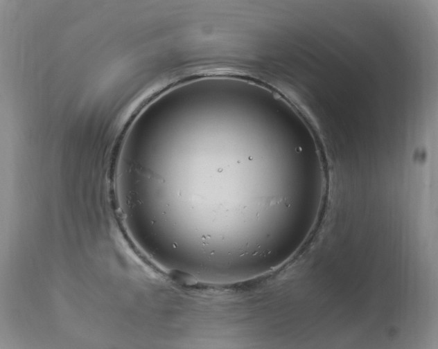 X0000112881189200908211443