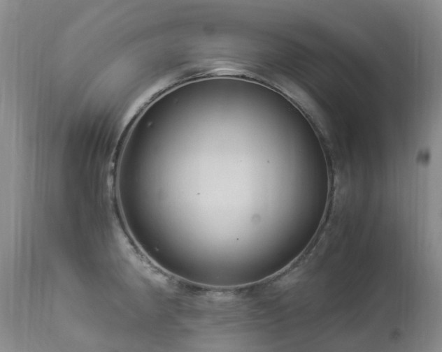 X0000112881190200908211443