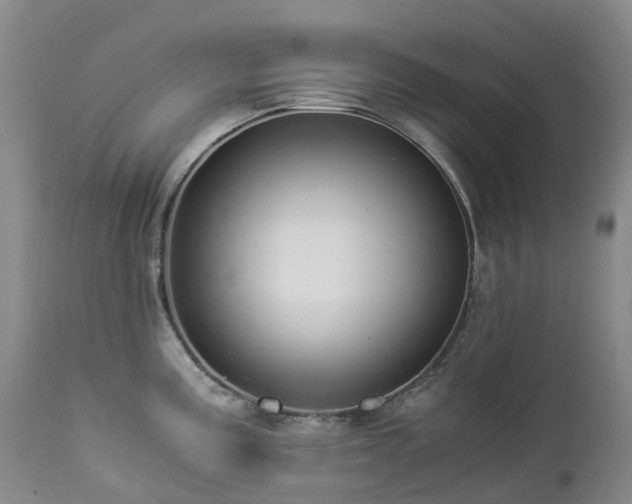 X0000112881195200908211443