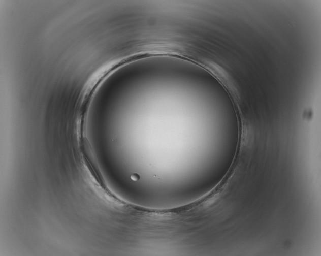 X0000112881196200908211443