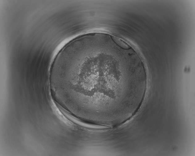 X0000112881200200908211443