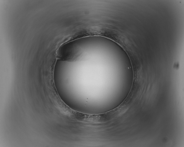 X0000112881201200908211442