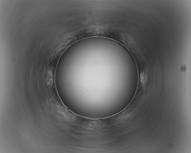 X0000112881203200908211442