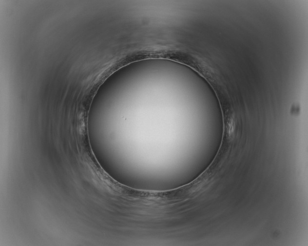 X0000112881204200908211442