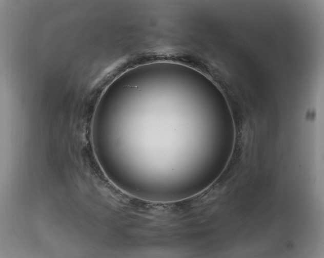 X0000112881205200908211442