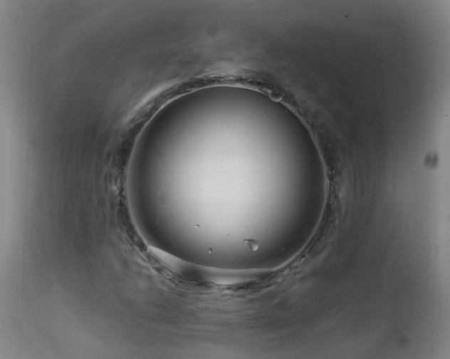 X0000112881206200908211442