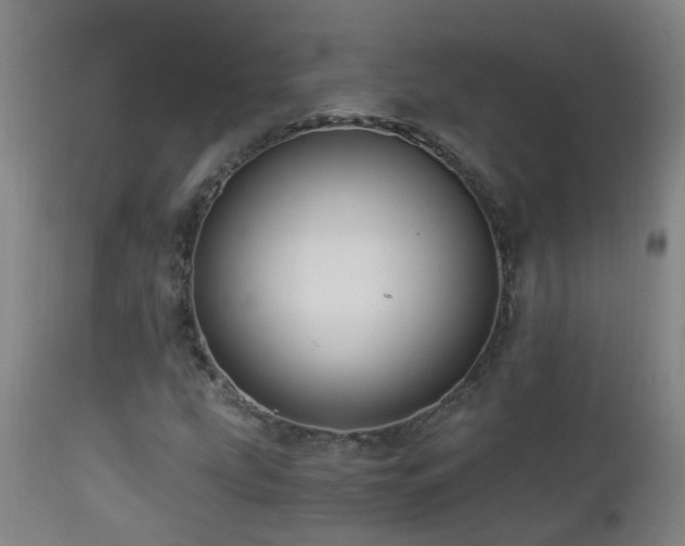 X0000112881207200908211442