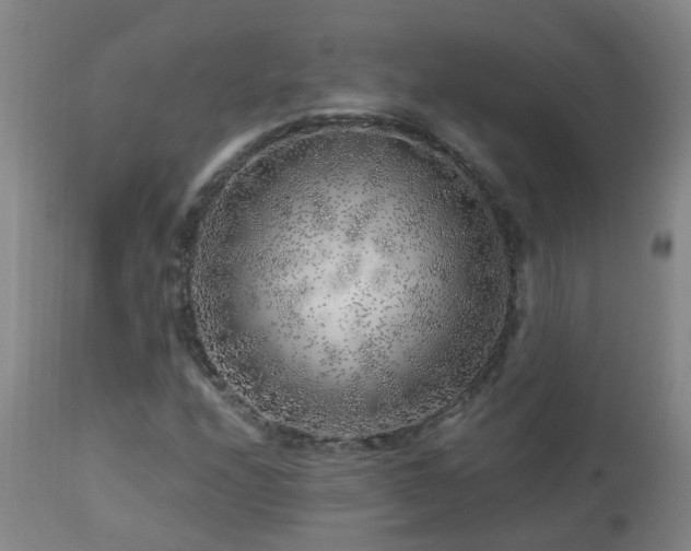 X0000112881208200908211442