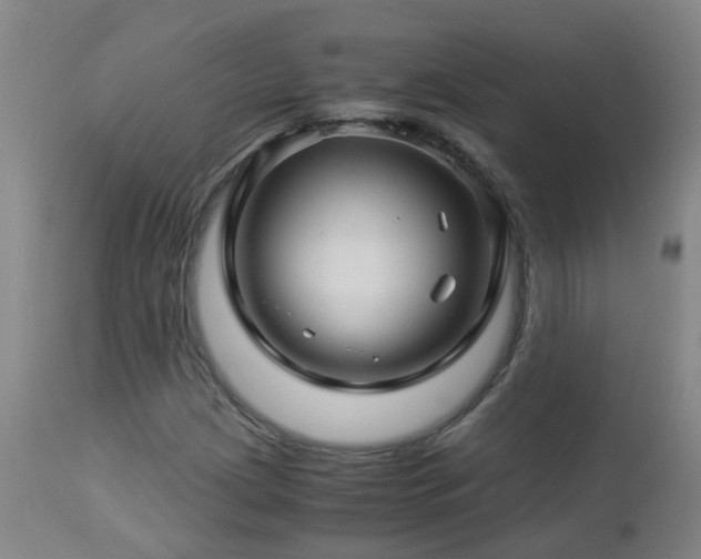 X0000112881209200908211442