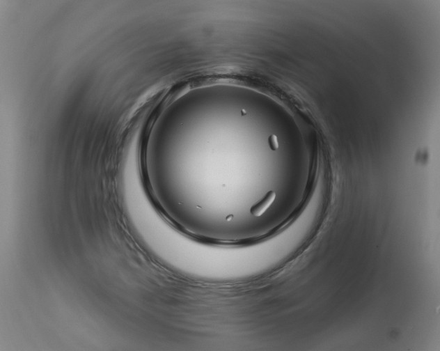 X0000112881210200908211442