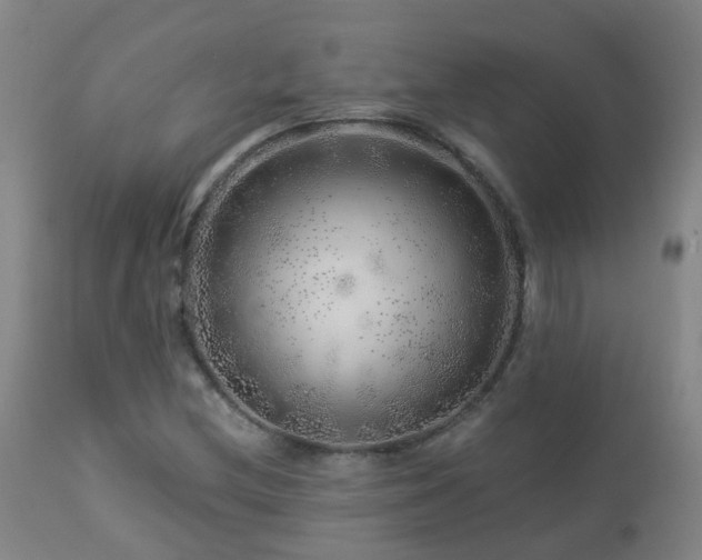 X0000112881212200908211442