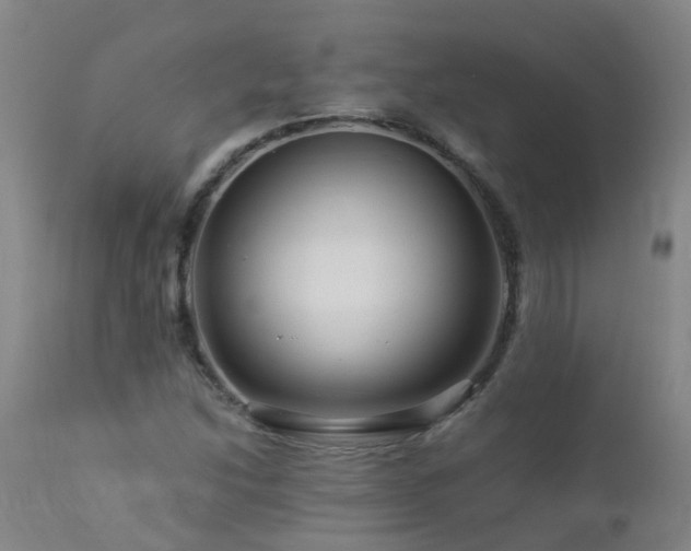 X0000112881214200908211442