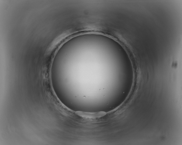 X0000112881215200908211442