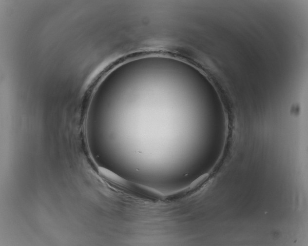 X0000112881216200908211442